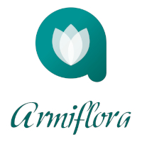 Armiflora - A sua florista na Maia